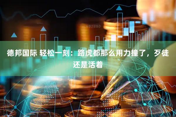 德邦国际 轻松一刻：路虎都那么用力撞了，歹徒还是活着