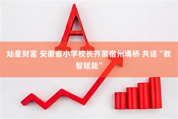 灿星财富 安徽省小学校长齐聚宿州埇桥 共话“数智赋能”