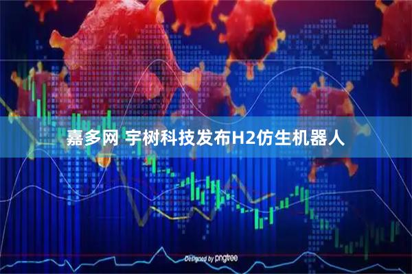 嘉多网 宇树科技发布H2仿生机器人