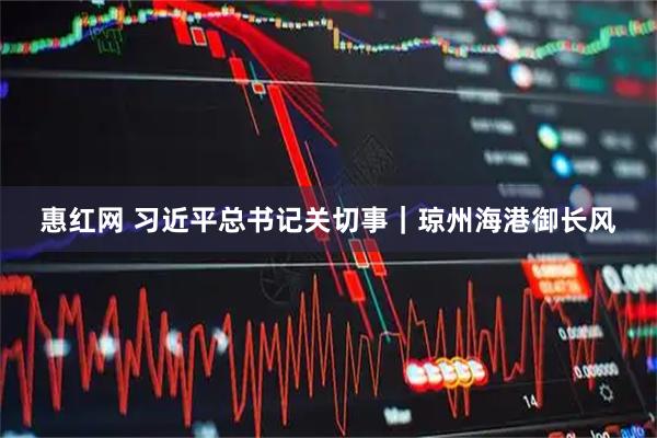 惠红网 习近平总书记关切事｜琼州海港御长风