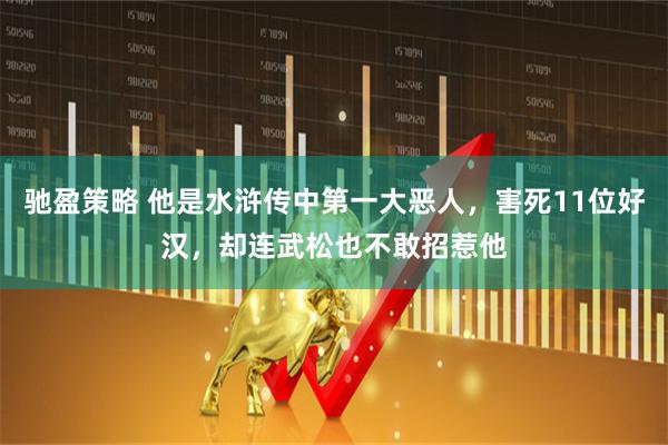 驰盈策略 他是水浒传中第一大恶人，害死11位好汉，却连武松也不敢招惹他