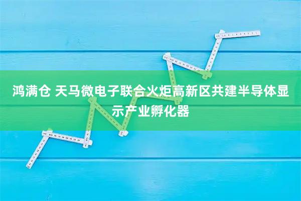 鸿满仓 天马微电子联合火炬高新区共建半导体显示产业孵化器