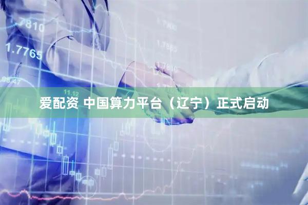 爱配资 中国算力平台（辽宁）正式启动