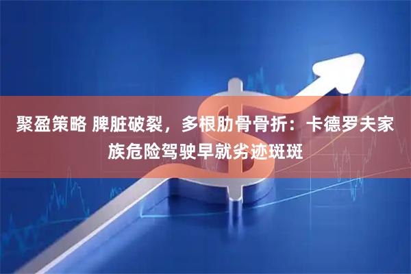 聚盈策略 脾脏破裂，多根肋骨骨折：卡德罗夫家族危险驾驶早就劣迹斑斑